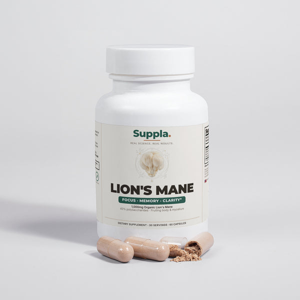 Lion's Mane Focus & Memory