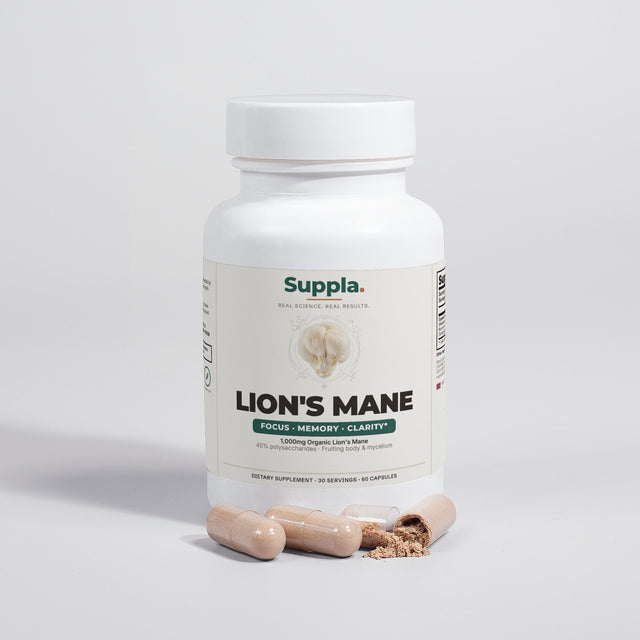 Lion's Mane Focus & Memory