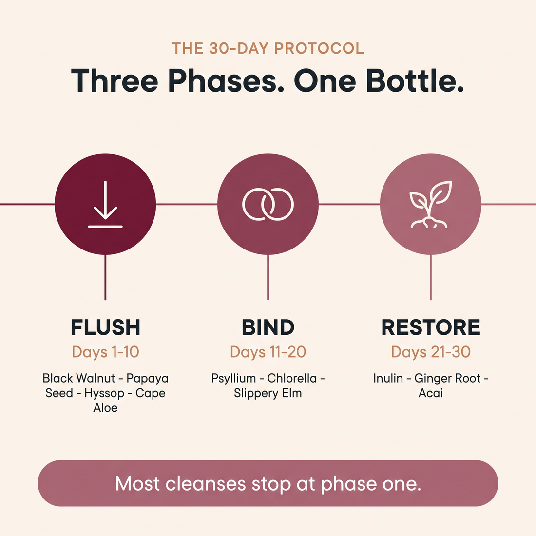 suppla-daily-detox-v2-03-three-phases
