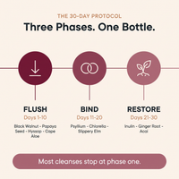 suppla-daily-detox-v2-03-three-phases