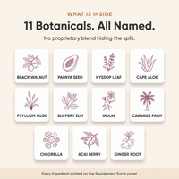 suppla-daily-detox-v2-04-ingredient-map