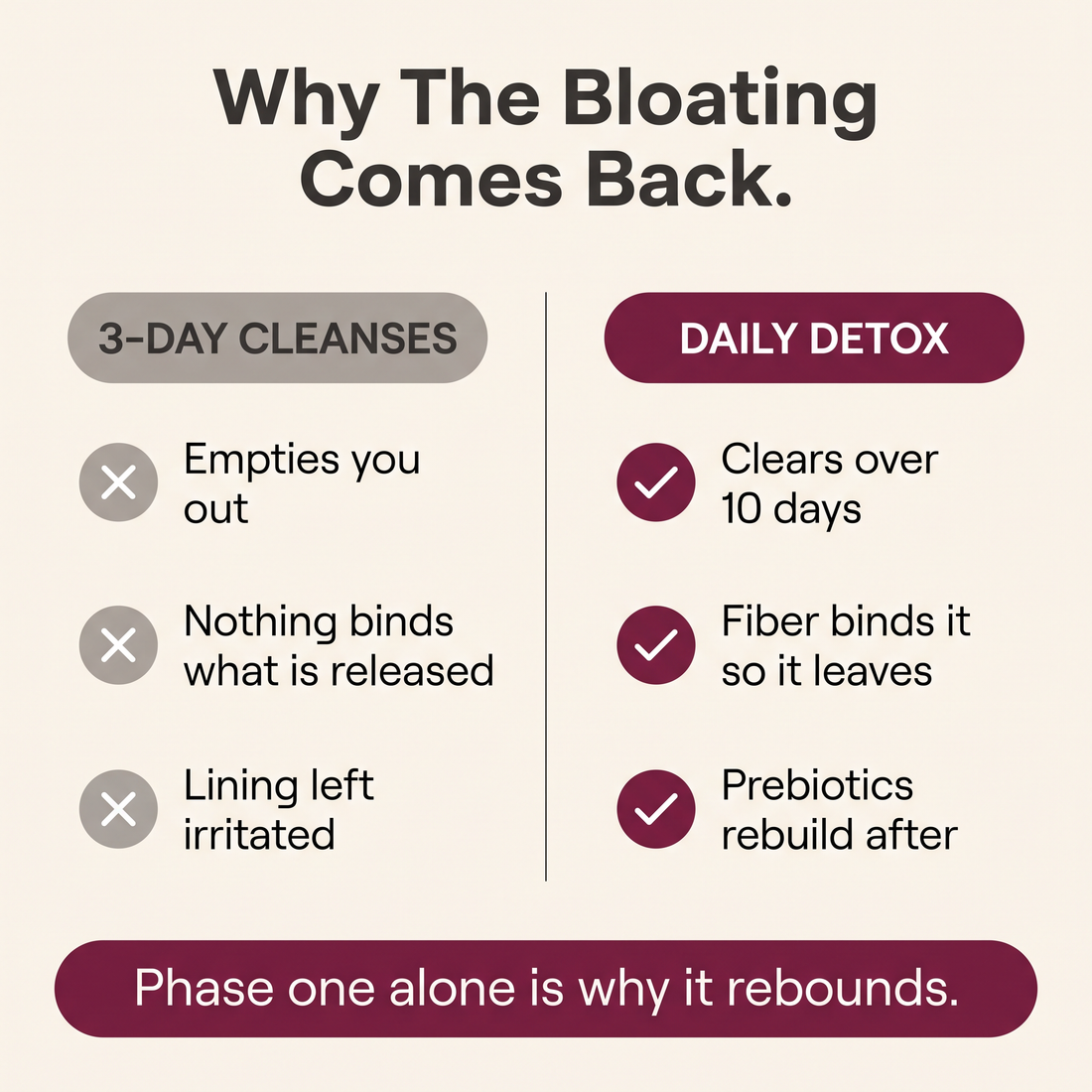 suppla-daily-detox-v2-05-old-fixes