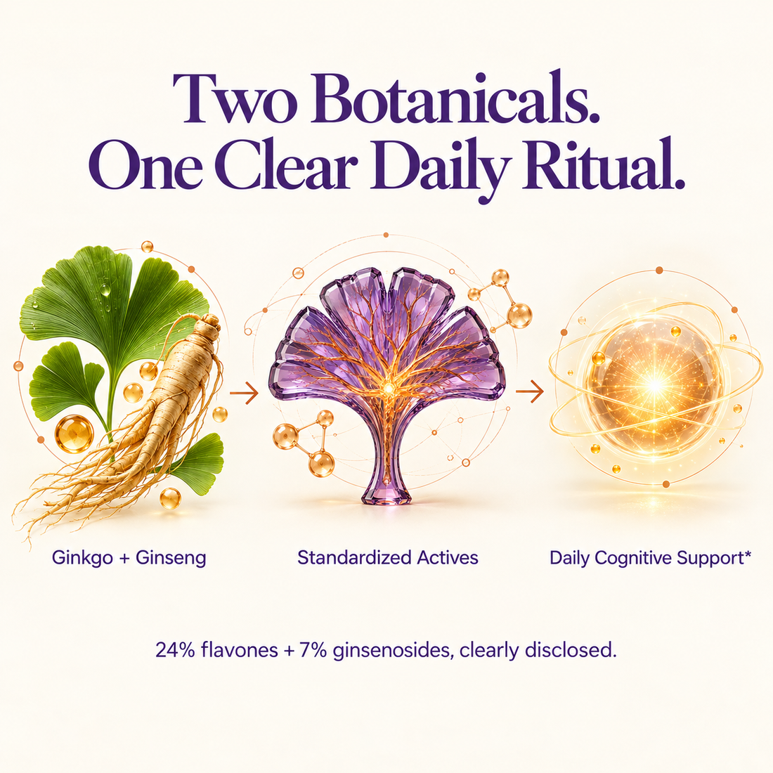 Diagram of Ginkgo Biloba and Red Asian Ginseng standardized botanical formula