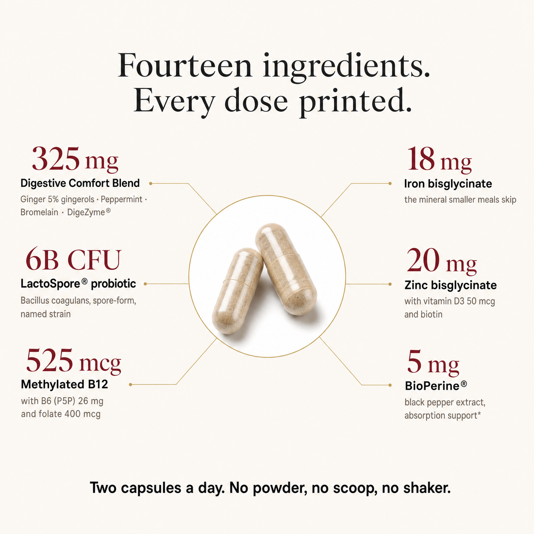 suppla-glp1-v2b-04-ingredient-map