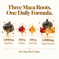 Diagram showing 1000mg black maca, 250mg red maca and 250mg yellow maca
