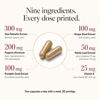 suppla-prostate-v2b-04-ingredient-map